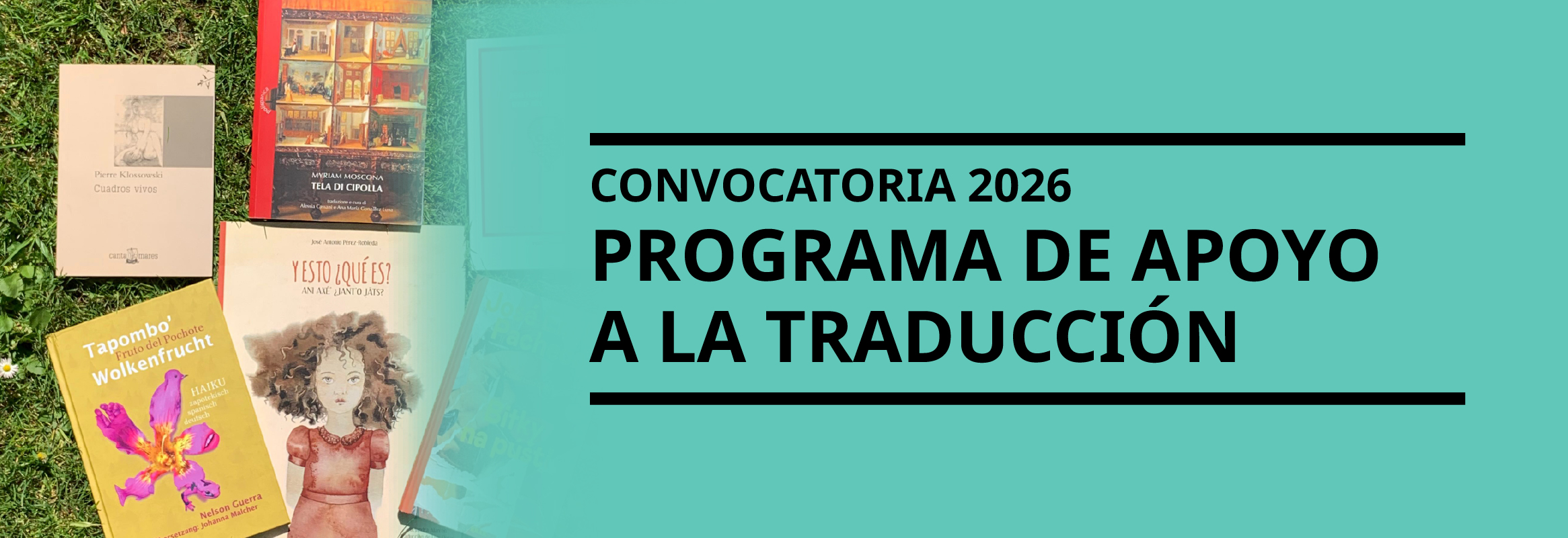 Consulta las bases