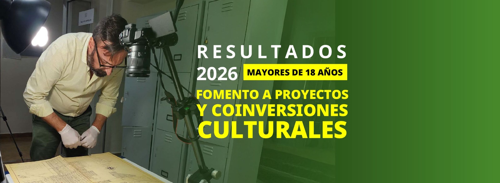 Consulta los resultados